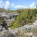 cistern_town_yankee_wc_h_0067_tci0067.jpg